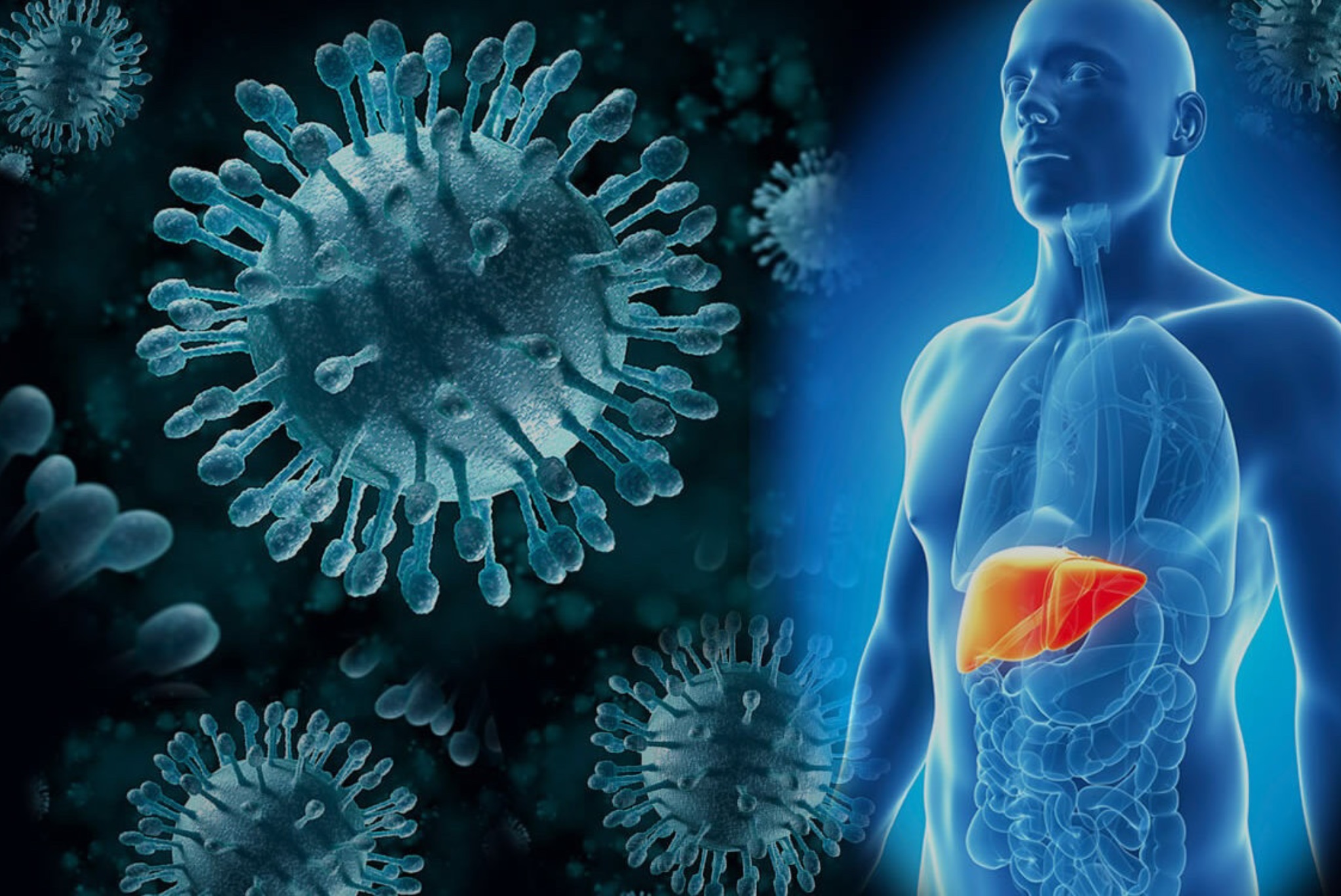 Инструктаж для врачей инфекционистов медицинских организаций Минздрава РСО-Алания по вопросам профилактики хронического гепатита С Инструктаж для врачей инфекционистов медицинских организаций Минздрава РСО-Алания по вопросам профилактики хронического гепатита С